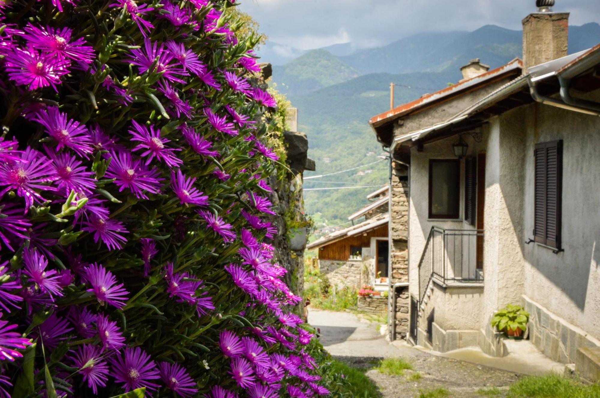 Chalet In Pietra E Legno Con Caminetto Inverso Pinasca Extérieur photo